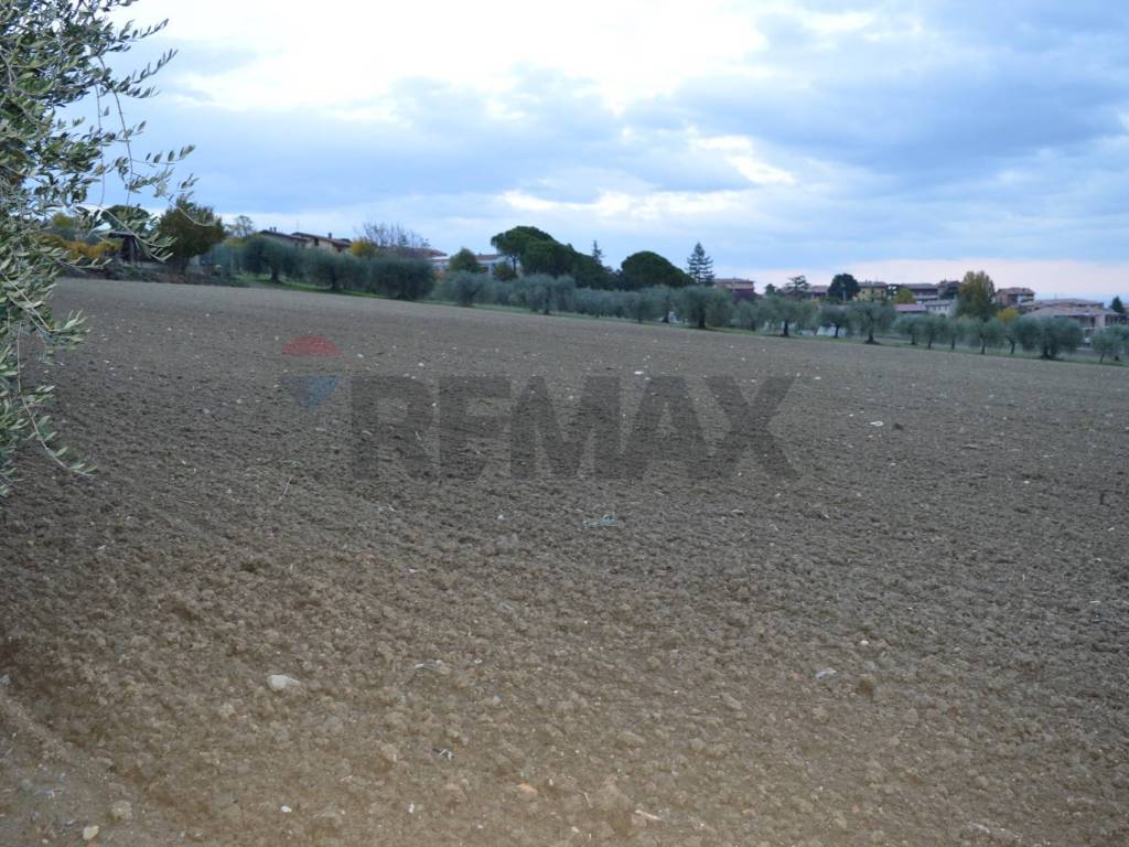 Terreno a Marsciano - Foto 5