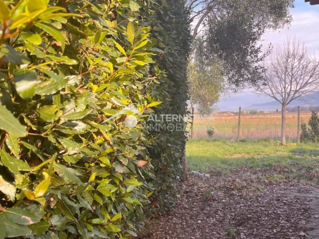 Villetta a schiera a Pisa in Via Callestro - Foto 3