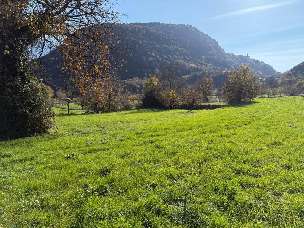 Terreno a Tignale - Foto 3
