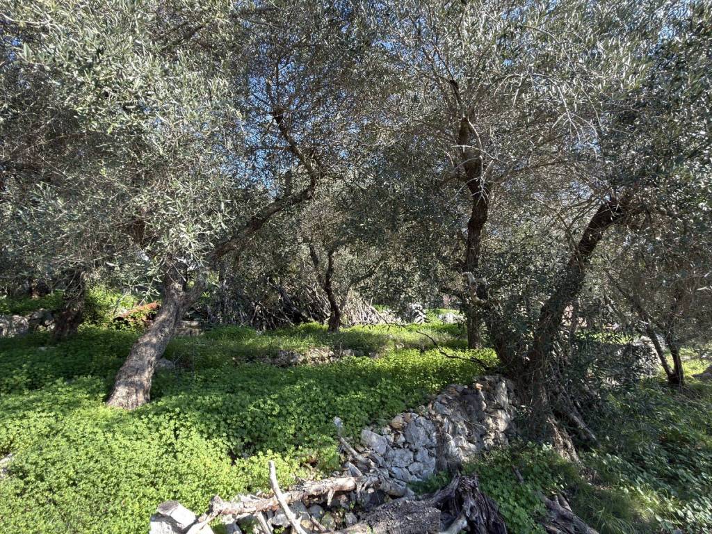 Terreno a Gaeta - Foto 2