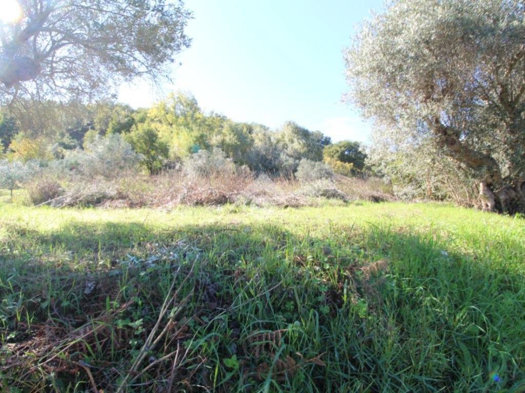 Rustico / casale a Montalto uffugo in Via Manca Lauro, 21 - Foto 2