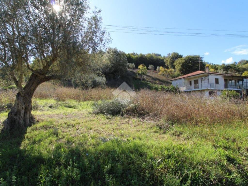Rustico / casale a Montalto uffugo in Via Manca Lauro, 21 - Foto 3