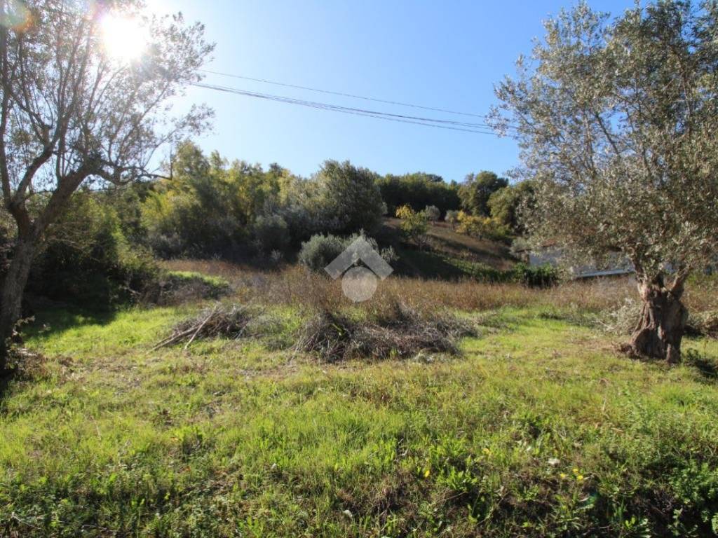 Rustico / casale a Montalto uffugo in Via Manca Lauro, 21 - Foto 5