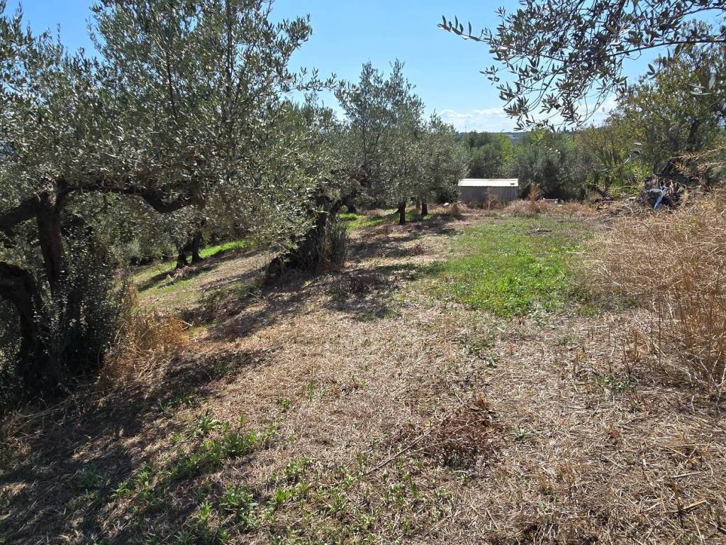 Rustico / casale a Pianella in Contrada Granaro - Foto 5