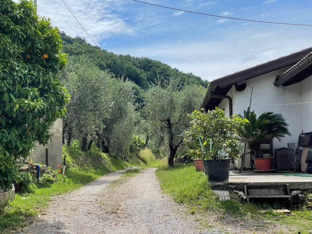 Casa indipendente a Pieve a nievole in via Tanelli, 1 - Foto 5