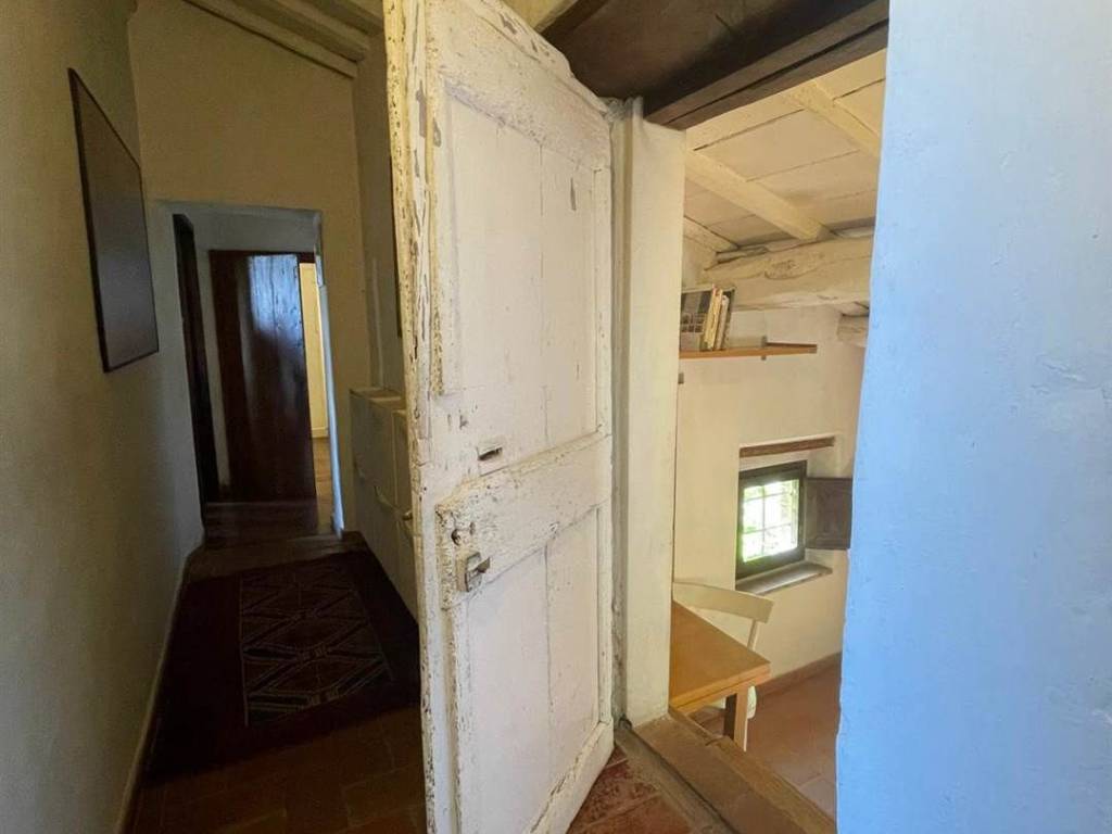 Rustico / casale a Massa e cozzile in Via in corte, 52 - Foto 5