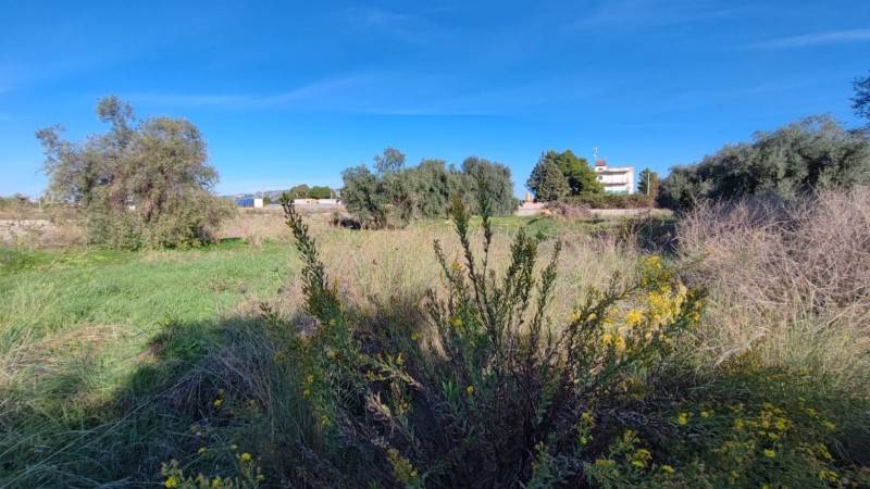 Terreno a Floridia - Foto 3