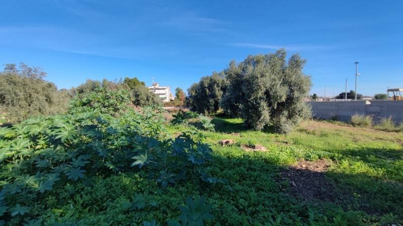 Terreno a Floridia - Foto 4