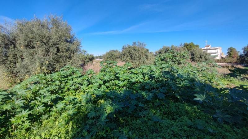 Terreno a Floridia - Foto 5