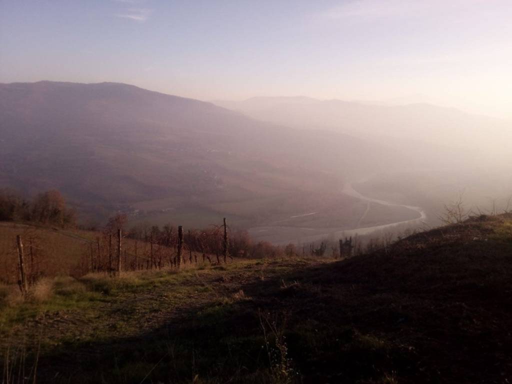 Rustico / casale a Ponte dell'olio in LOC VIGNETO - Foto 2