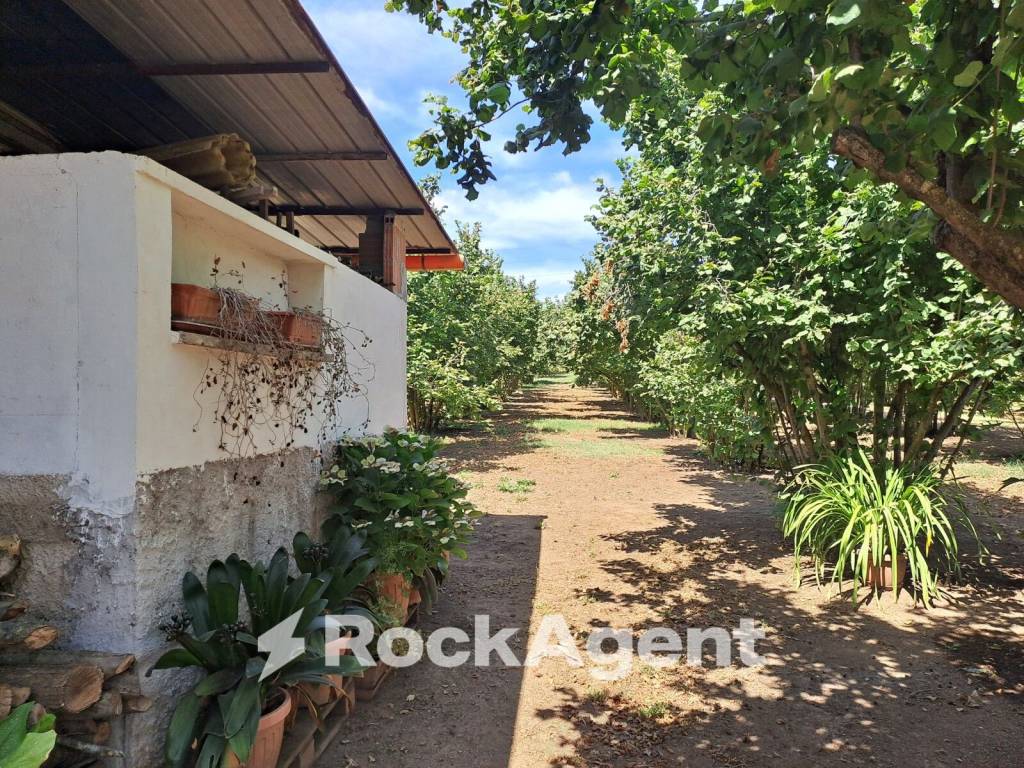 Terreno a Vignanello in Strada mecocci snc - Foto 4