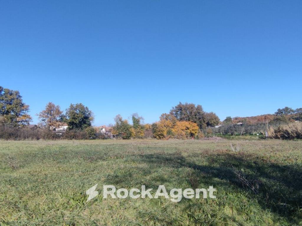Terreno a Vetralla in Strada delle Carcarelle, 31 - Foto 5
