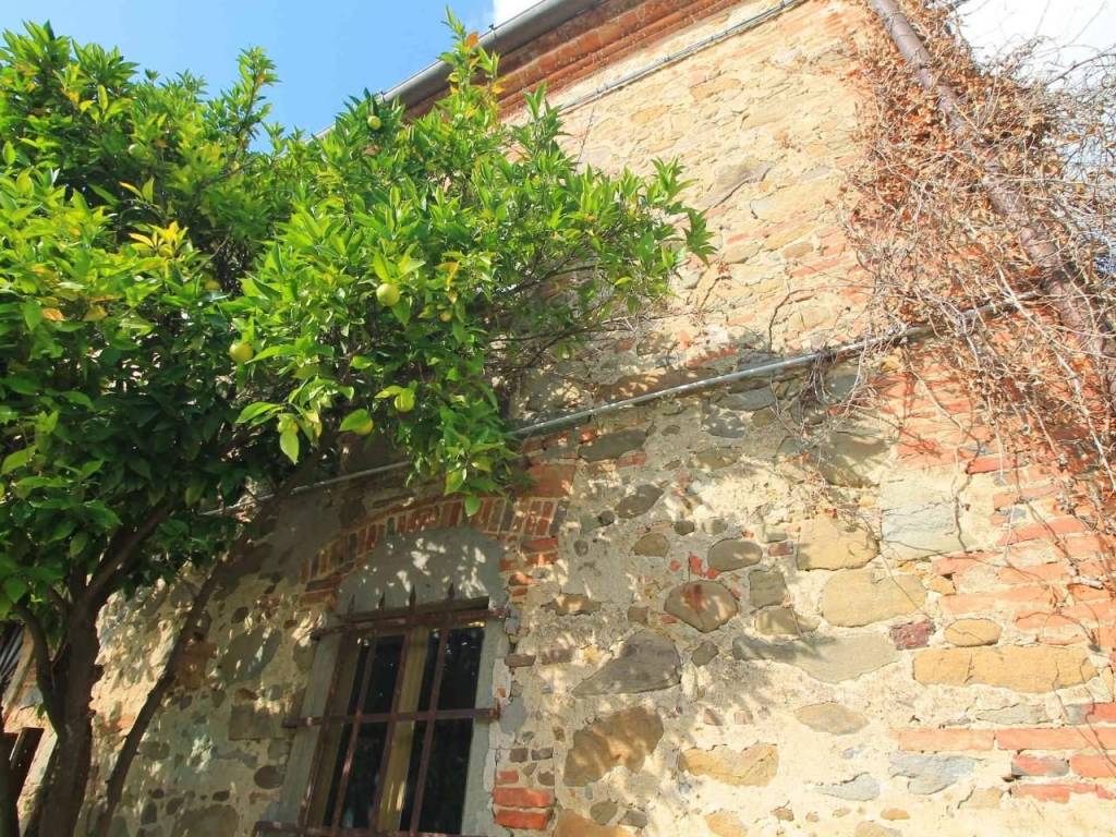 Rustico / casale a Vinci - Foto 2