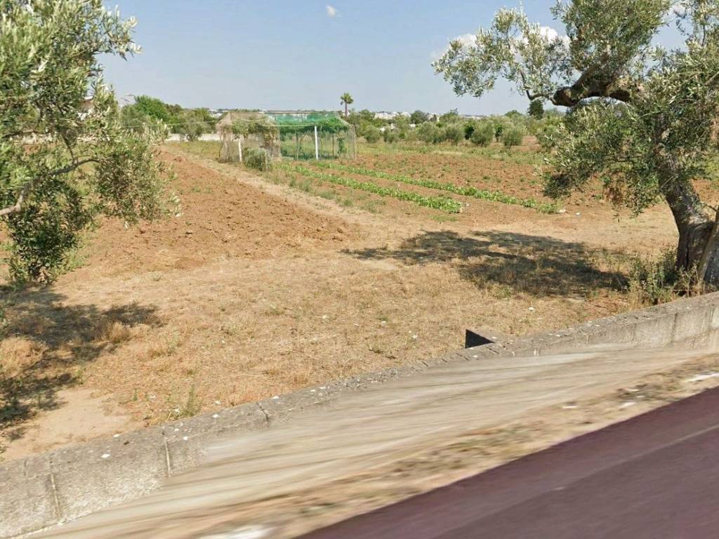 Terreno a Parabita in Strada Vicinale Boggi - Foto 3