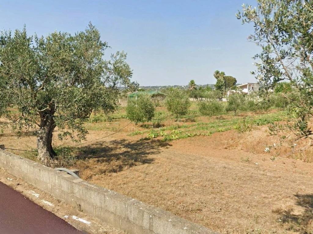 Terreno a Parabita in Strada Vicinale Boggi - Foto 4