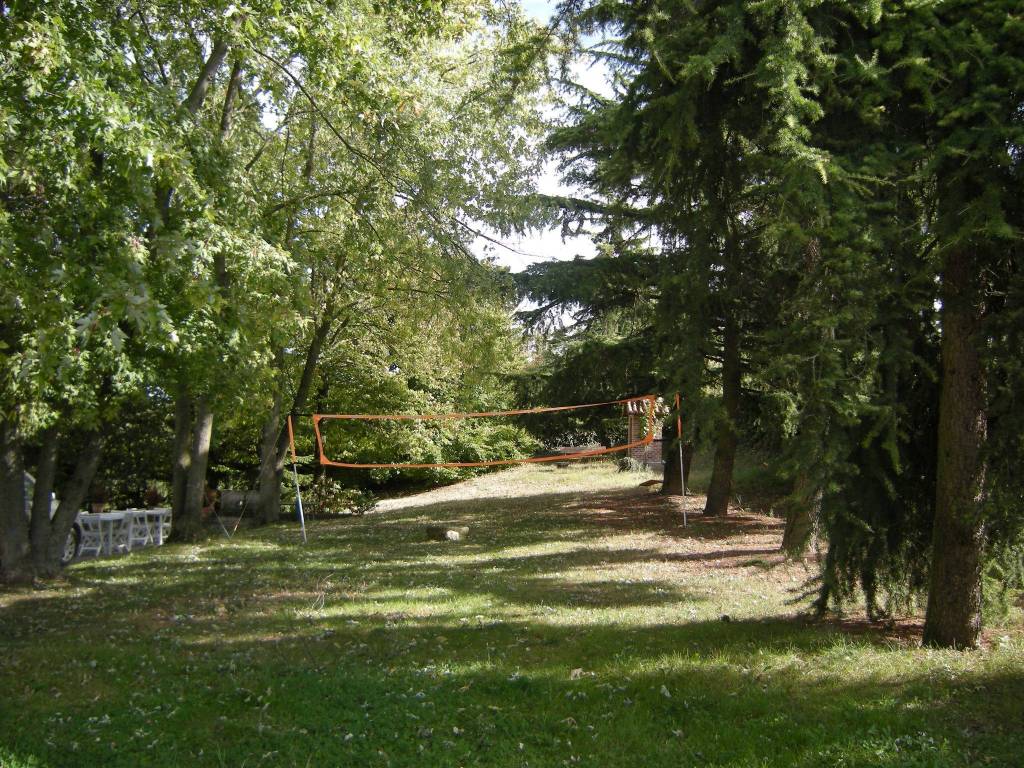 Rustico / casale a Neive in Via Starderi, 26 - Foto 3