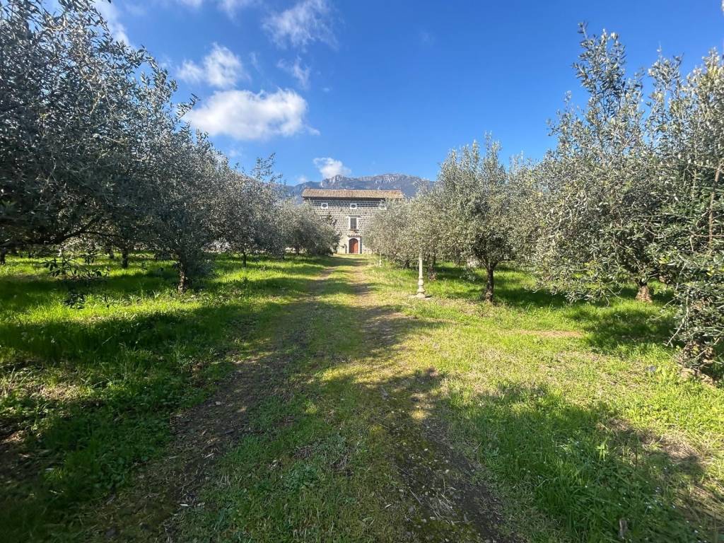Palazzo / stabile a Mignano monte lungo in strada provinciale 14, 14 - Foto 2