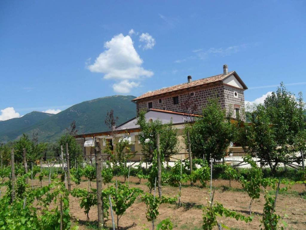 Palazzo / stabile a Mignano monte lungo in strada provinciale 14, 14 - Foto 3