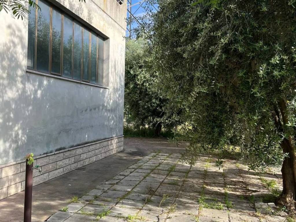 Villa a Trecastelli in Via Galileo Galilei, 35 - Foto 4