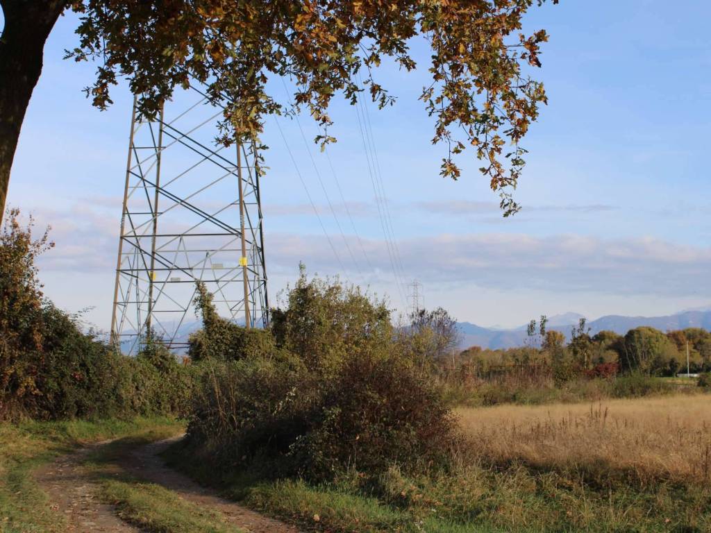 Terreno a Bonate sotto in via Quirico - Foto 2