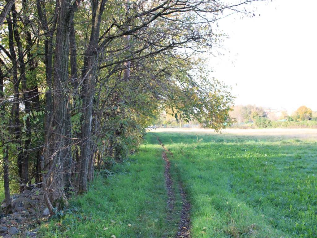 Terreno a Bonate sotto in via Quirico - Foto 3