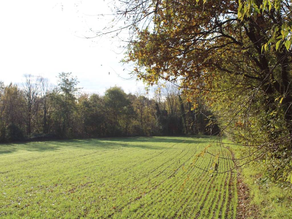Terreno a Bonate sotto in via Quirico - Foto 4