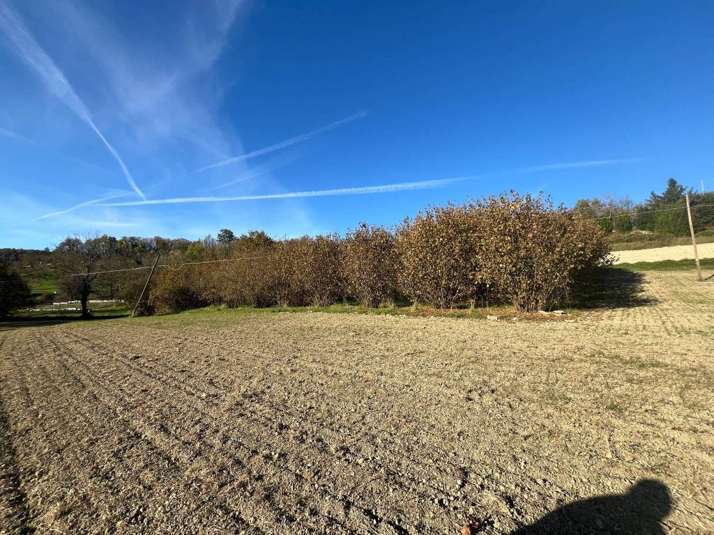 Terreno a Casalborgone - Foto 3