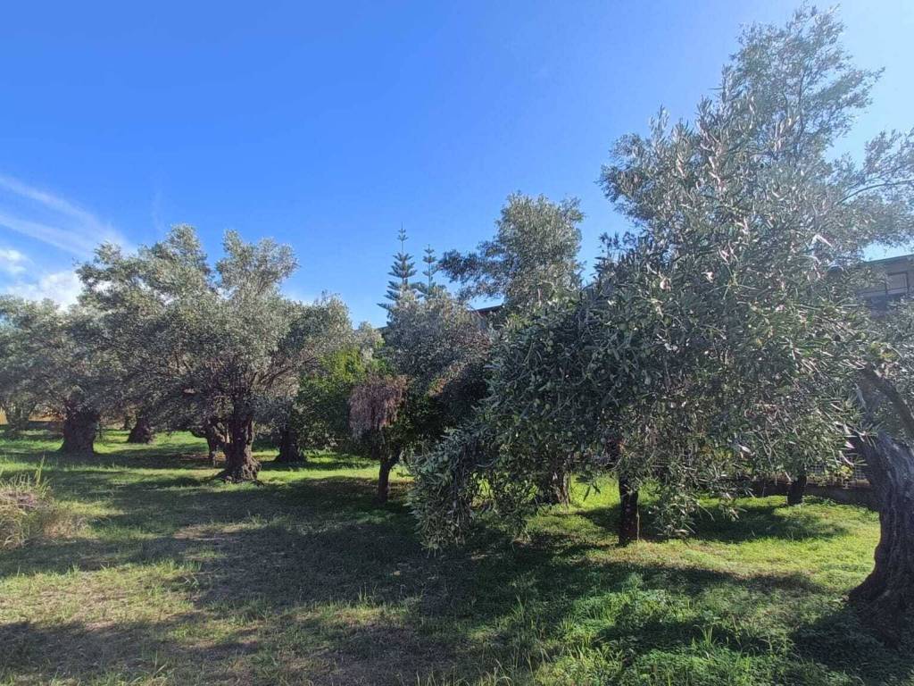 Terreno a Lamezia terme in Via Giuseppe Saragat - Foto 3