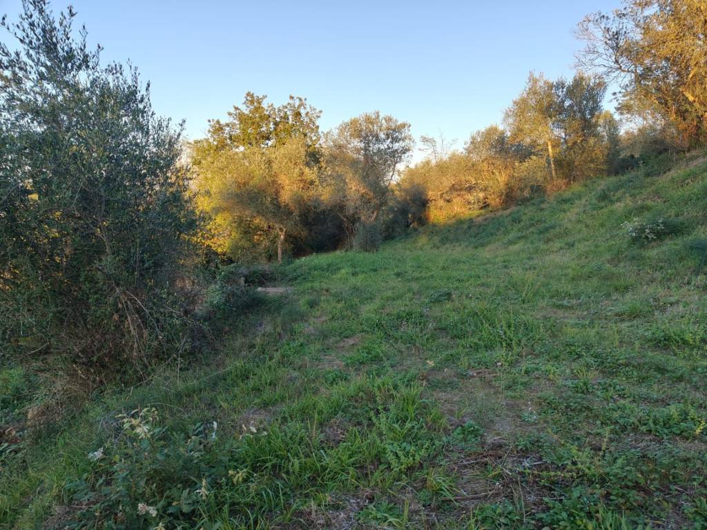 Terreno a Torgiano in Via Montesanto - Foto 2