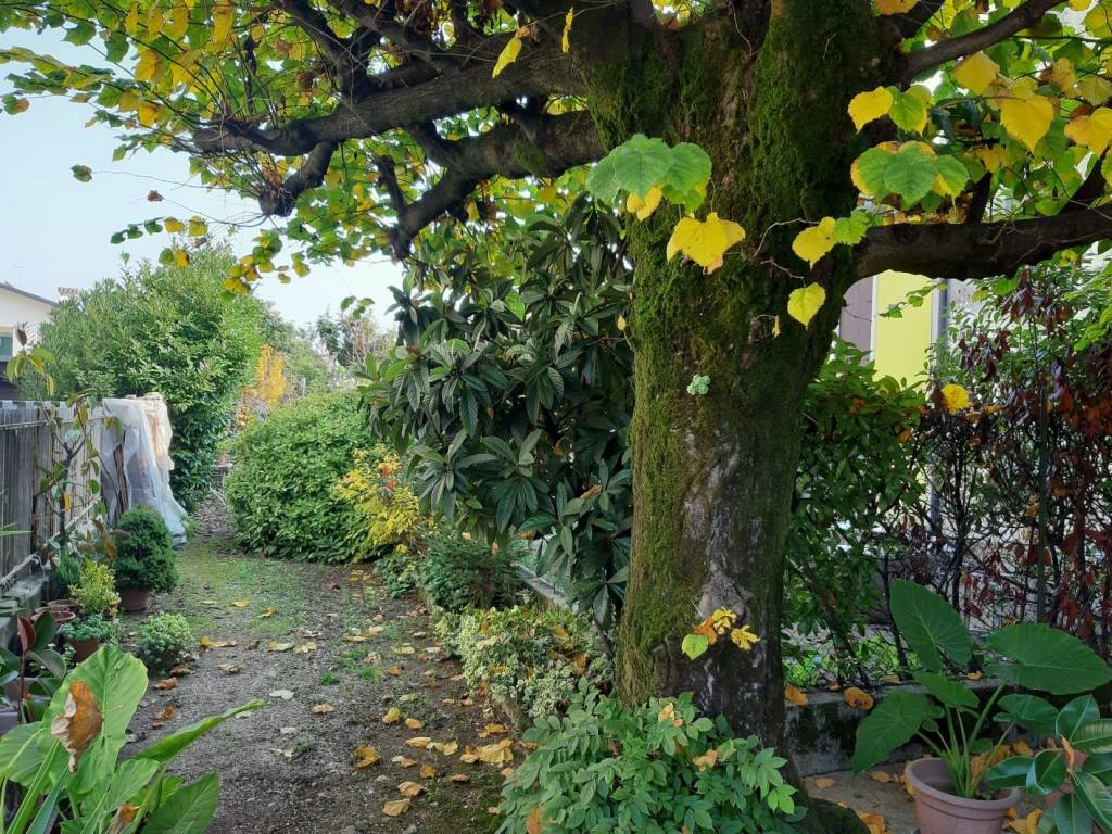 Casa indipendente a Villaverla - Foto 4