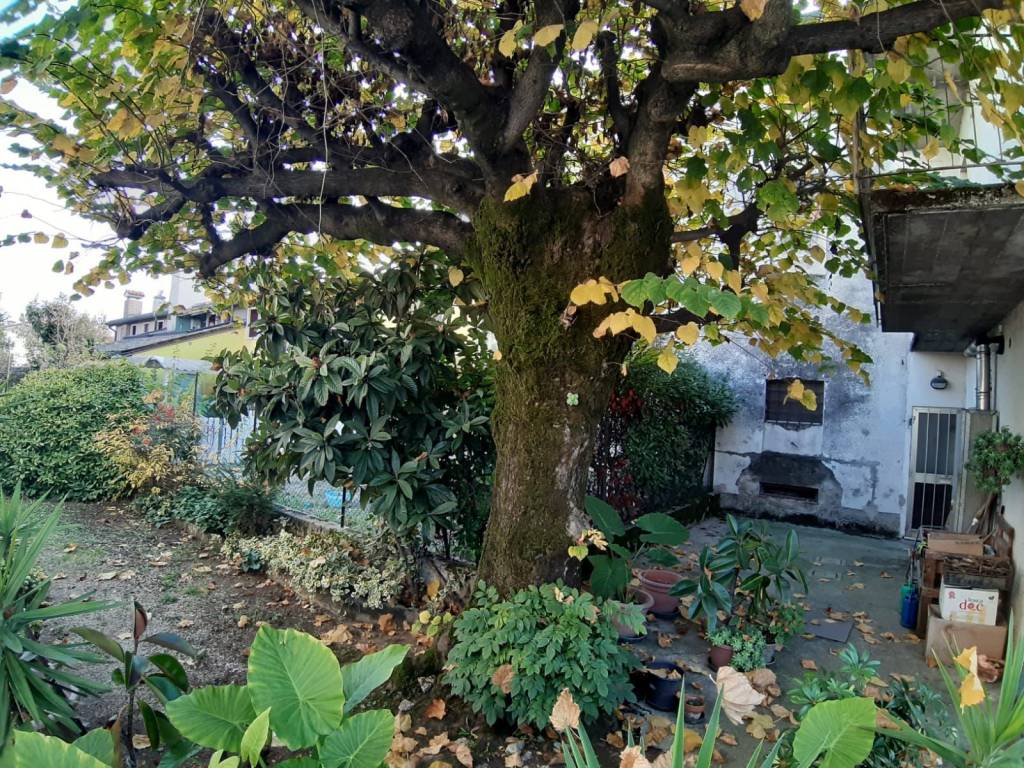 Casa indipendente a Villaverla - Foto 5