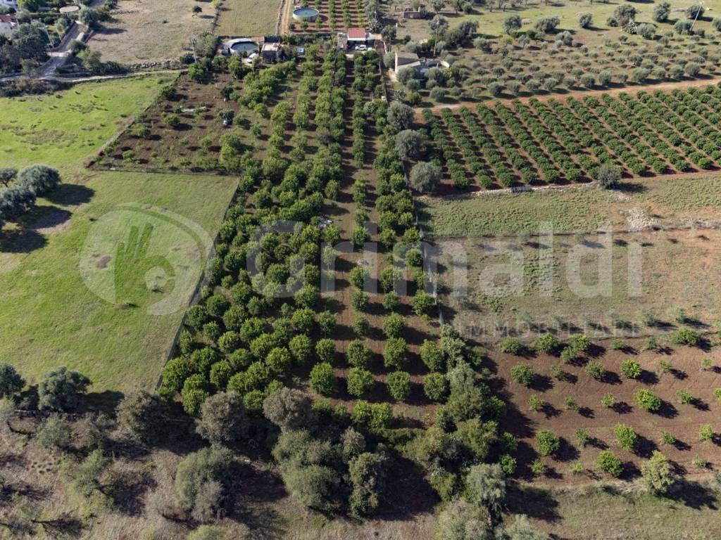 Terreno a Noto in Via dulcamara, 45 - Foto 2