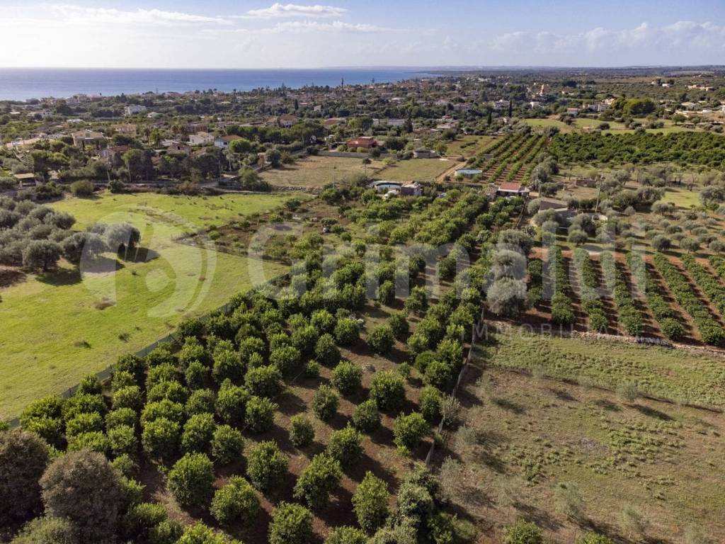 Terreno a Noto in Via dulcamara, 45 - Foto 3