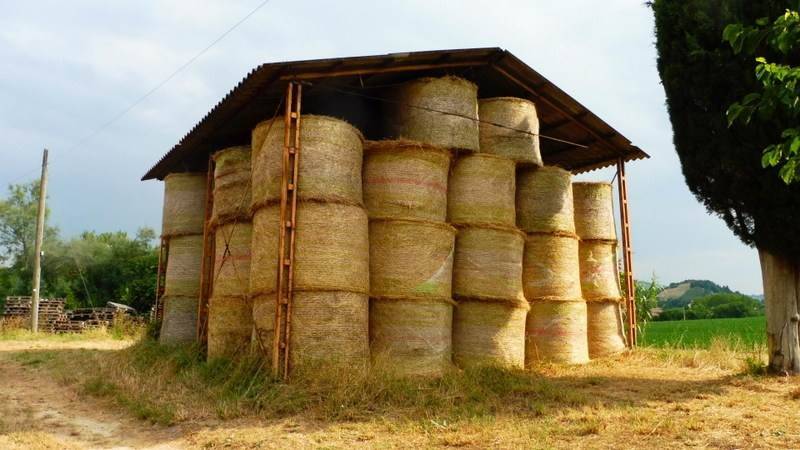 Immobile a San severino marche in Colotto - Foto 3