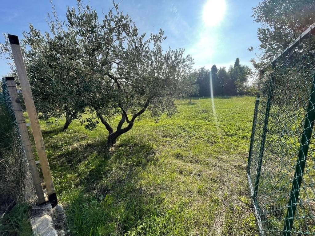Terreno a Martinsicuro in Via Francesco Baracca - Foto 2