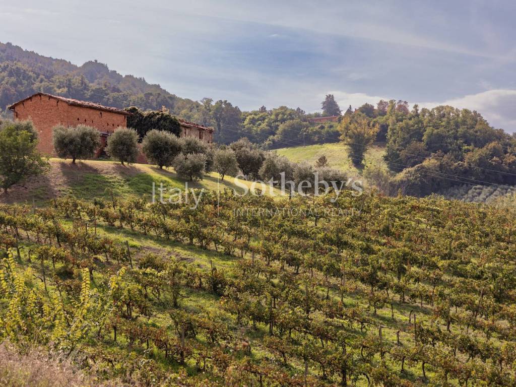 Rustico / casale a Brisighella in Via bicocca - Foto 5