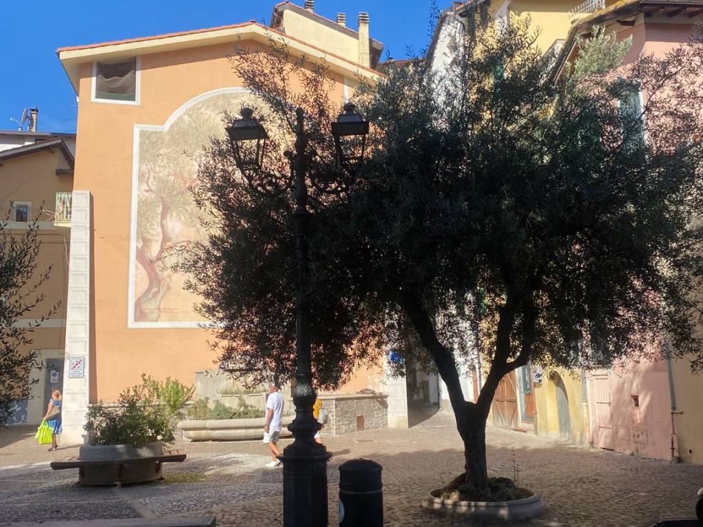 Palazzo / stabile a Camporosso in Via della Chiesa - Foto 4