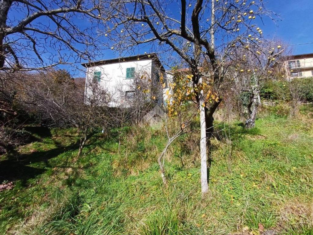 Casa indipendente a Savignone in Località Vallecalda - Foto 3