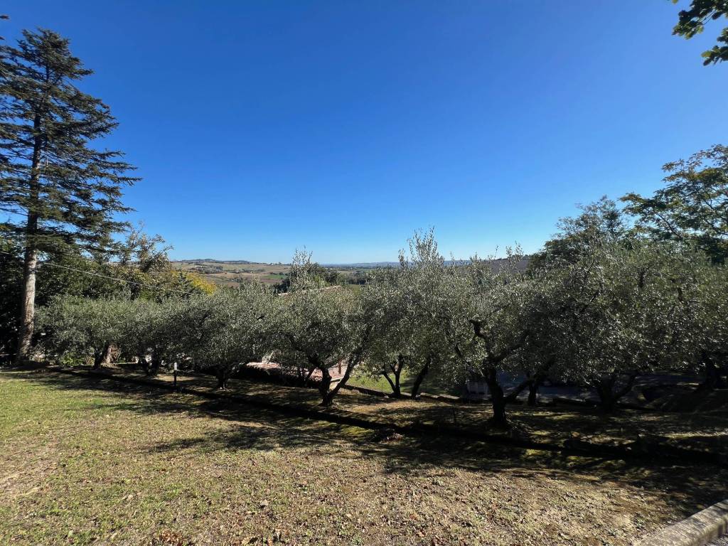 Rustico / casale a Cartoceto - Foto 4