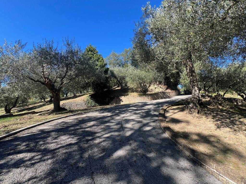 Rustico / casale a Cartoceto - Foto 5