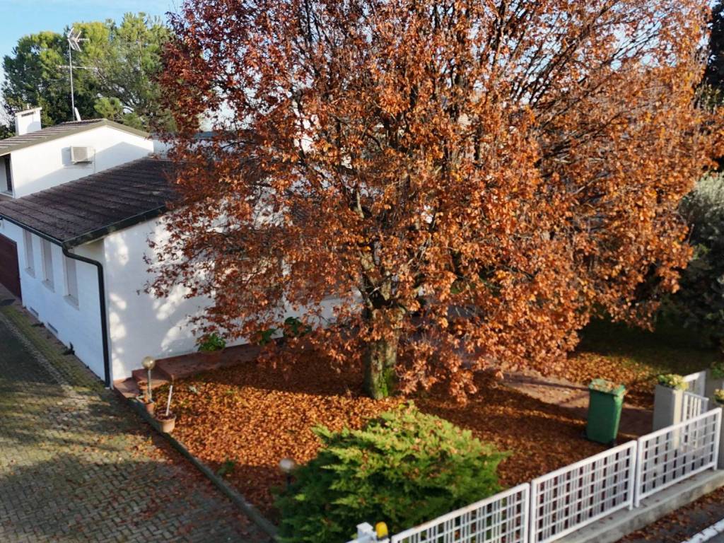 Villa a Piazzola sul brenta in Viale Silvestro Camerini - Foto 3