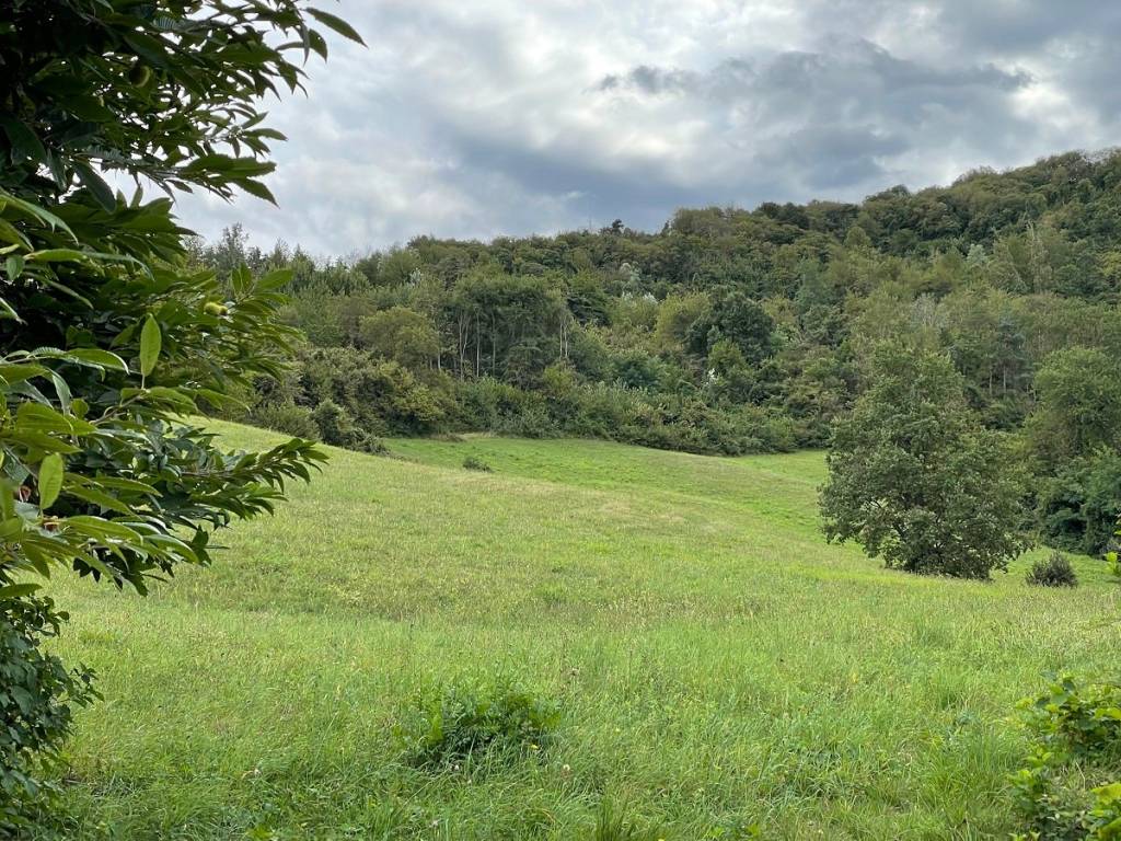 Rustico / casale a Roccaverano in Regione Garbaoli, 16 - Foto 3