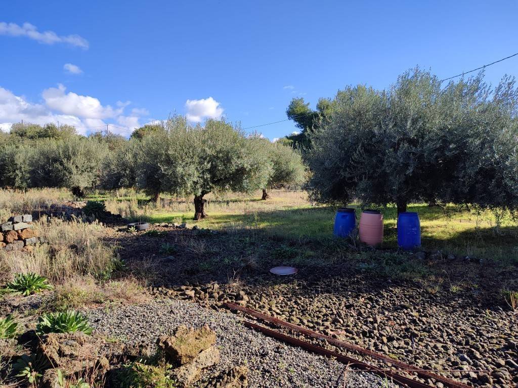 Terreno a Ragalna in CONTRADA MALATERRA - Foto 5