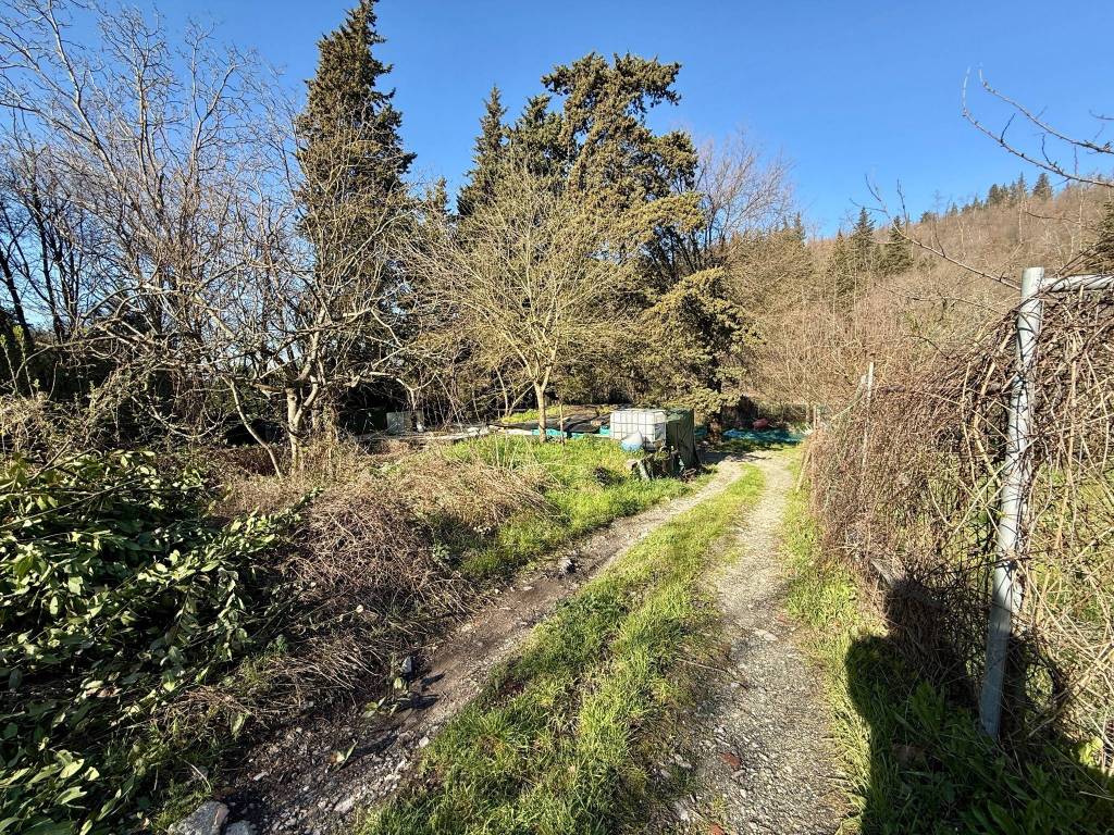 Terreno a Prato in Via Telemaco Signorini - Foto 2