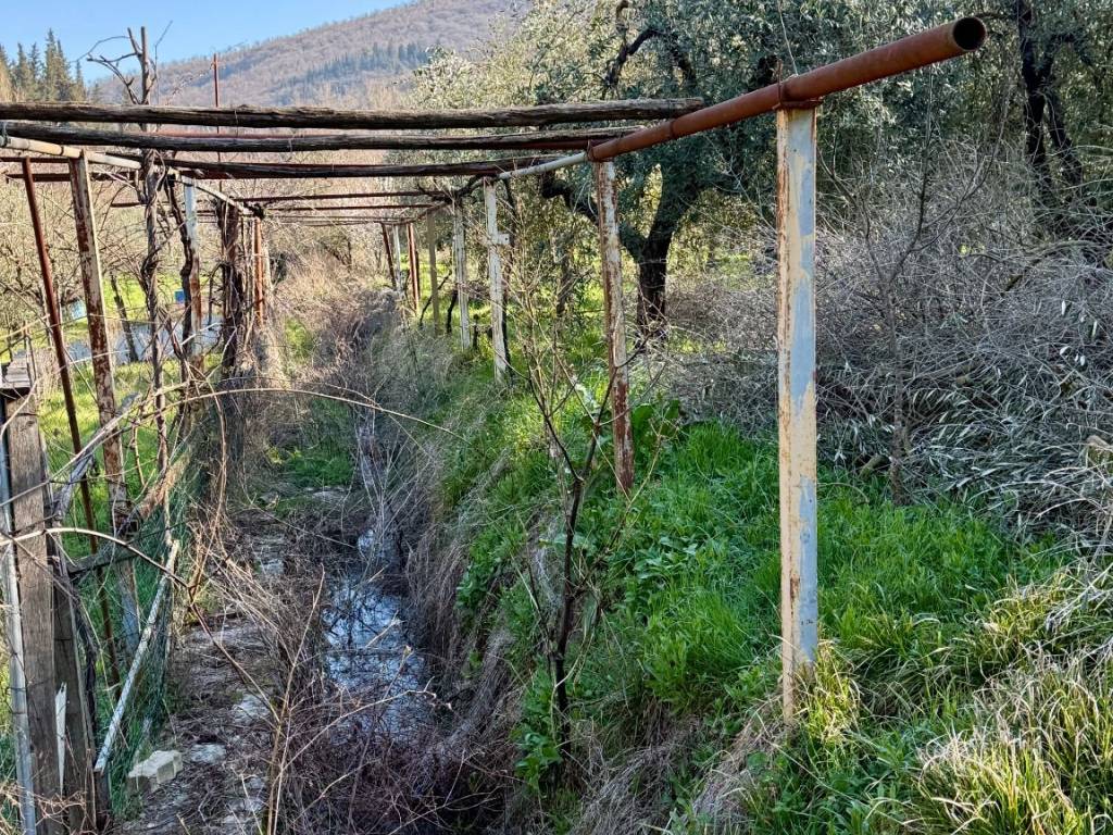 Terreno a Prato in Via Telemaco Signorini - Foto 3