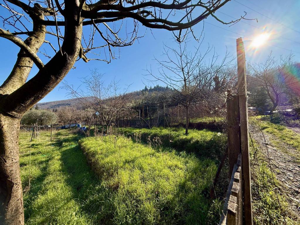Terreno a Prato in Via Telemaco Signorini - Foto 4