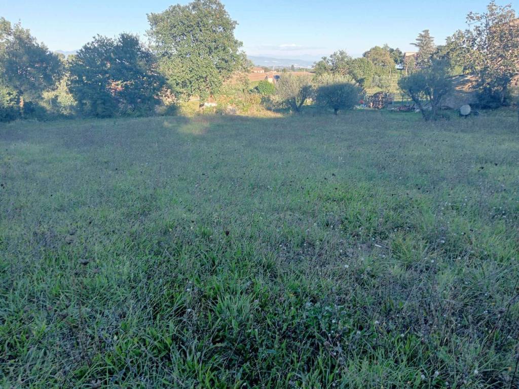 Terreno a Montefiascone in Via Cipollone - Foto 2
