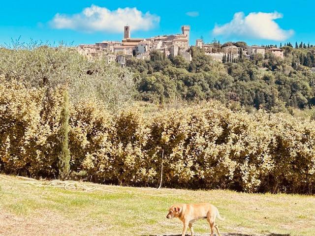 Rustico / casale a San casciano dei bagni in Strada della Fontaccia - Foto 3
