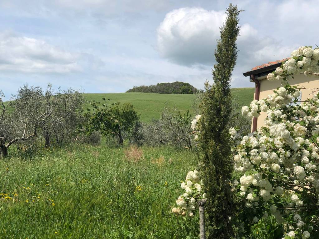 Rustico / casale a San casciano dei bagni in Strada della Fontaccia - Foto 5
