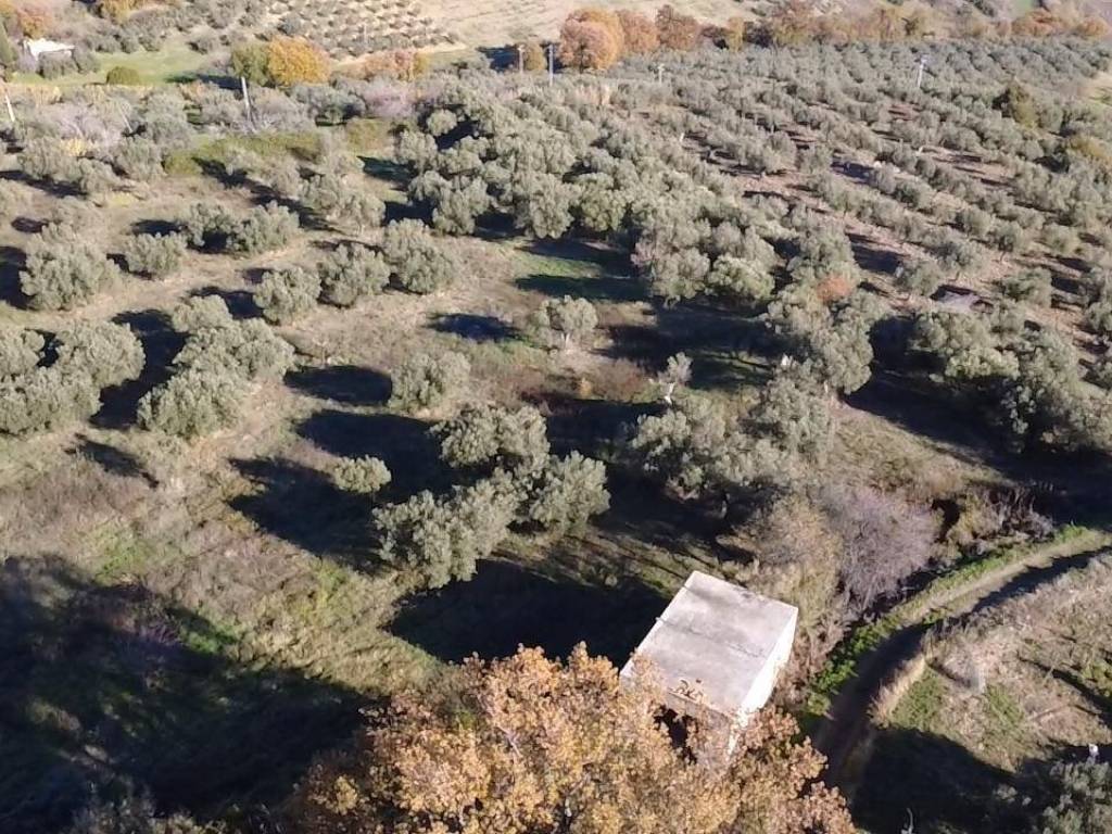 Villa a Paglieta in contrada ranco, 55 - Foto 4